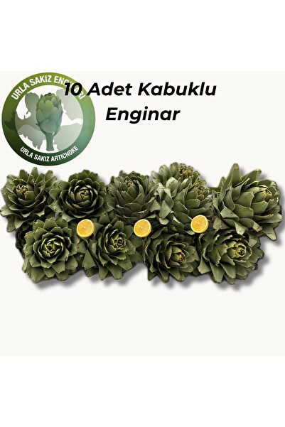Tek Lezzet 10 Adet Soyulmamış Büyük Enginar Urla 7-9cm