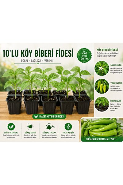 Mera Çiçekçilik Köy Biberi Fidesi 10 Adet