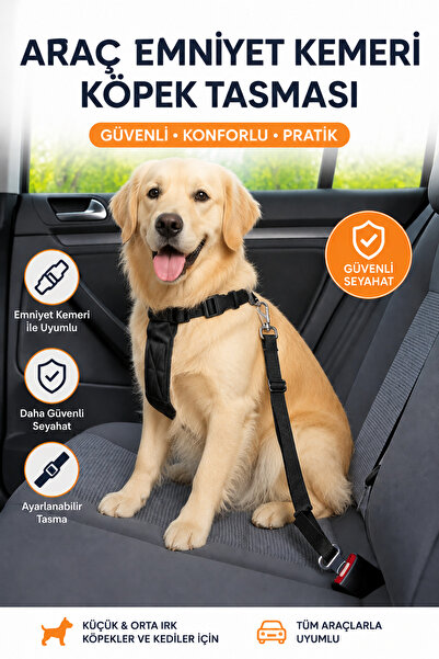 baffhome Evcil Hayvan Araç Emniyet Kemeri Kedi Köpek Araba Oto Tasması Oto Ak...
