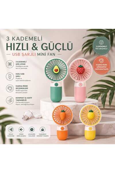 PİRAYE AKSESUAR Mini USB Şarjlı Taşınabilir El Fanı