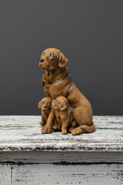 Tasarloxi Çift 2 Yavrulu Dekoratif Retriever Köpek
