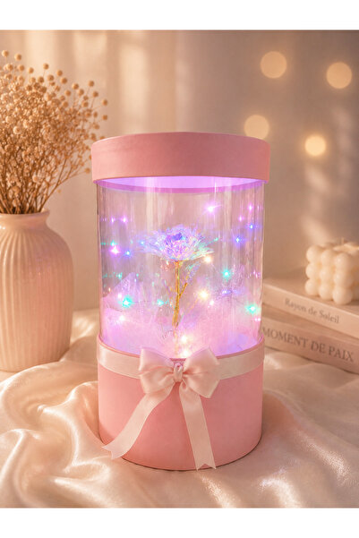 Floroon gift Led Işıklı Sonsuzluk Gülü Sihirli Fanus Kutu | Sonsuzluk Gülü | ...