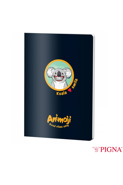 PIGNA Caiet A5 Aritmetica 80 File - Arhiva Matematica Portabila, Calcule Comp...