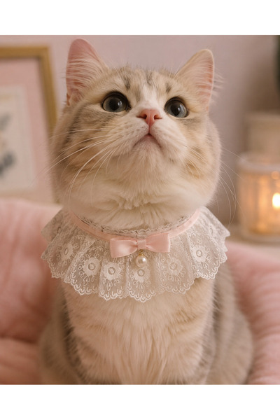 Animalovers Stylish Braided Cat Collar Adjustable Neck Jewelry with Bow Tie a...