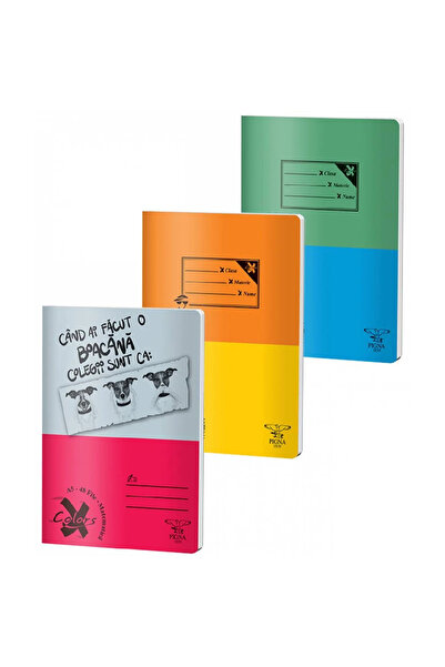 PIGNA Caiet A4 48 file Matematica Coperta Basic