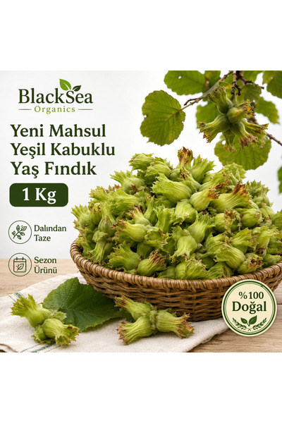BlackSeaOrganics Rize Fındığı Yeni Mahsul Yeşil Kabuklu Yaş Fındık 1 Kg – Dal...