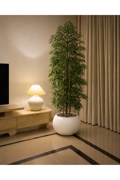 Rafef Bamboo Tree with Multiple Branches, 200 cm Long, with a Solid Core.