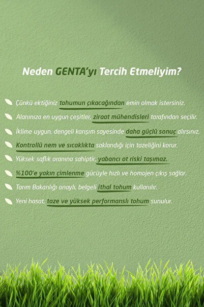 Genta Prestige Kolay Bakım Yonca Karışımı Çim Tohumu 1 Kg