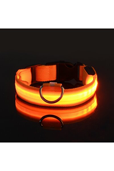 Choice XS（old） Orange Nylon LED Night Safety Flashing Glow In The Dark Dog Le...