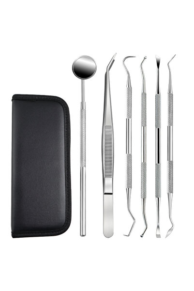 Choice 6PCS Stainless Steel Dental Cleaning Tool, Removes Tooth Dirt, Cleans ...