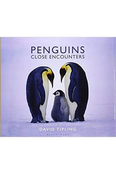 Bloomsbury Publishing Plc Pinguini: Întâlniri de aproape