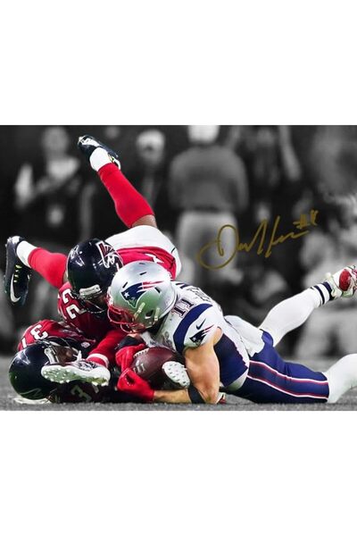 ALAYRA International Alayra Framed Julian Edelman the Incredible Catch Signed...