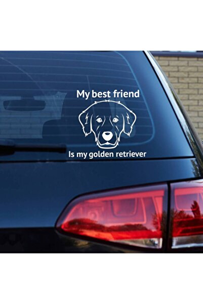 OEM Sticker auto (30cm) - Golden Retriever