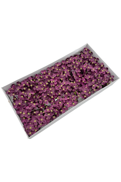 AFO Set 40 ramuri Hortensie Mica de sapun Marsalla