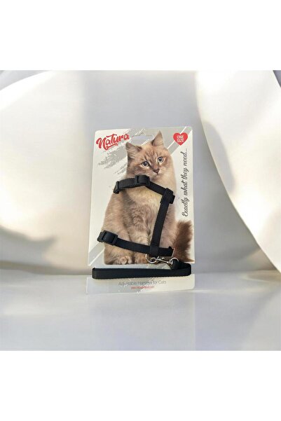 Natura Yetişkin Kedi Bel Tasması - Siyahı