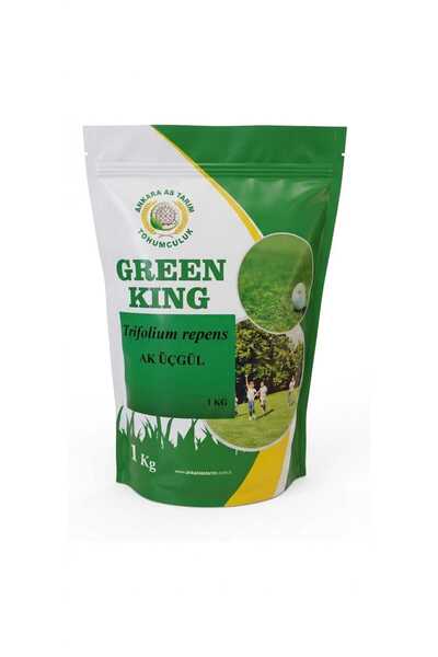 GREEN KING TRİFOLİUM REPENS (SÜS YONCASI TOHUMU) 1KG