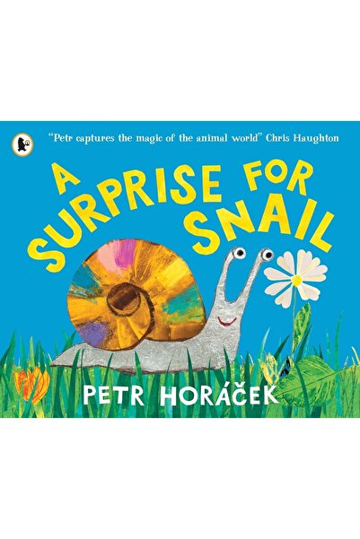 Walker Books O surpriză pentru Snail