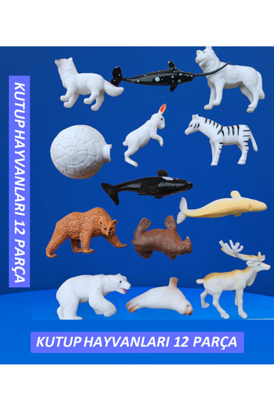 OYUNCAKSAHİLİ Buzul Hayvanları Buzullar Eskimo Fok Balina Kılıçbalığı Kutup A...