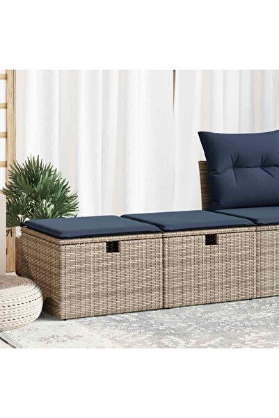 vidaxl Set mobilier gradina cu perne 2 piese gri poliratan/lemn acacia