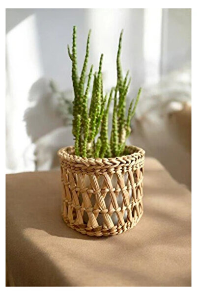 SS ERAL KOOP Decorative Multi-Purpose Natural Wicker Flower Pot Basket 12X12 ...