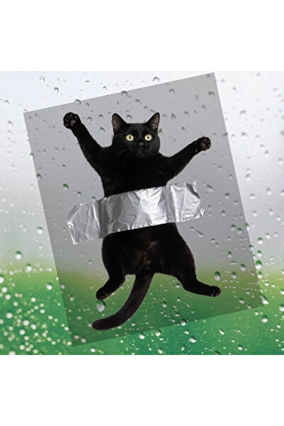 Choice 8.6X12CM jdhm-1PC 1PC JDM 3D Effect Funny Black Cat Motorcycle Sticker...