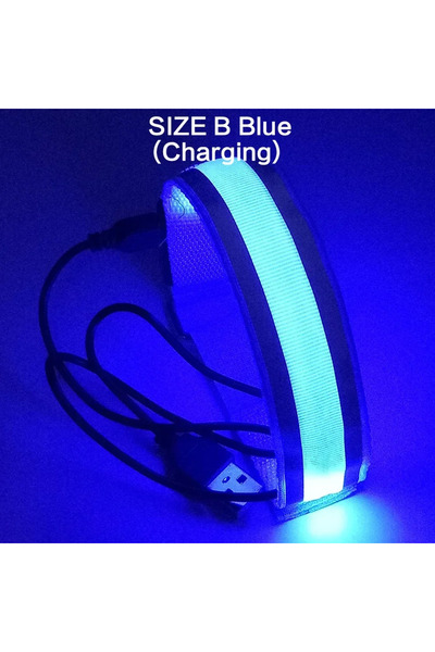 Choice1 blue 1PC 1PC USB Rechargeable LED Armband with Reflective Safety Stra...