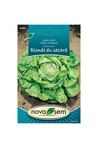 Novasem Seminte de salata Blonde du Cazard Novasem, 1 g