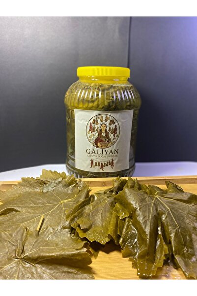 Galiyan Tarım 5Kg Bidonda Salamura Yaprak