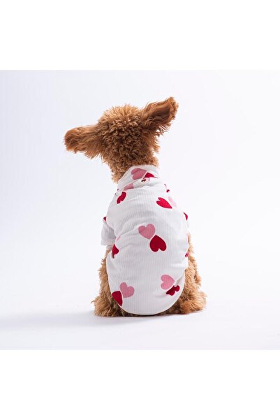 Pettrend Love Paws Kalp Desenli Kedi Köpek Sweati - Kedi Köpek Kıyafeti-Kedi ...