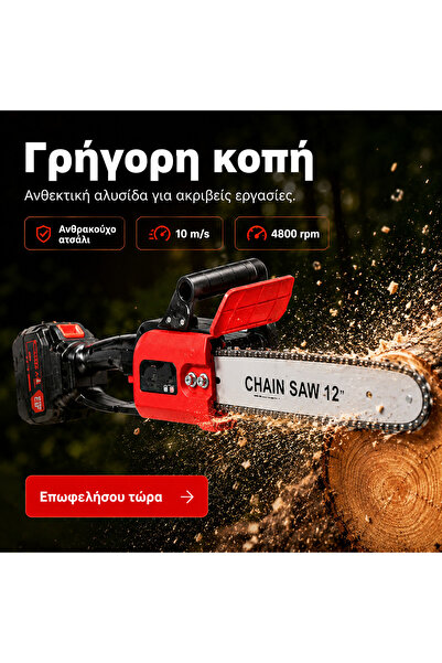OEM DRUJBA30CM (BG-V04)