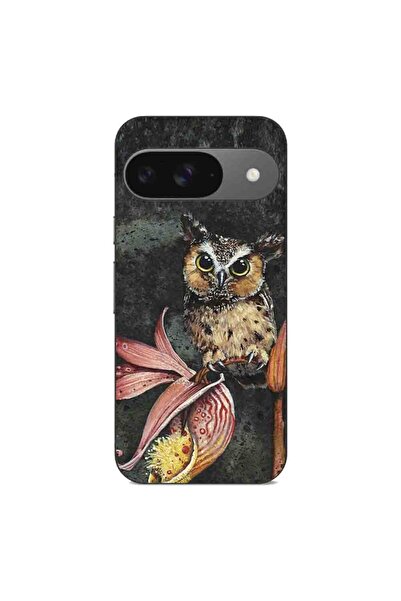 OEM Husa compatibila cu Google Pixel 9 Pro Silicon Gel Tpu Model Owl Painted