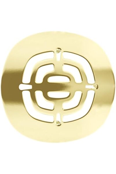 Nzr beautestore Westbrass Pirinç Geçmeli Duş Süzgeci Izgarası, Cilalı Pirinç, D316-03 2026 1103473