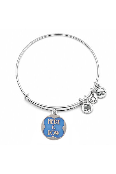 Alex and Ani Bratara Metal A12EB22RS