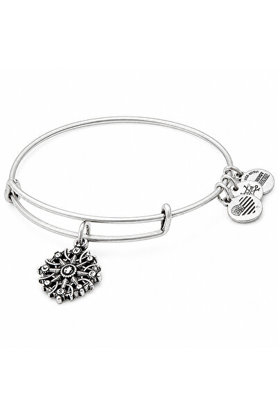 Alex and Ani Bratara Metal A17EBCOMPRS