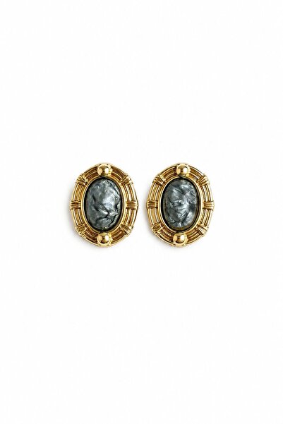 Charmist Steel Clara Earrings