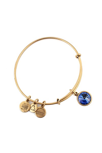 Alex and Ani ΓΥΝΑΙΚΕΙΟ ΒΡΑΧΙΟΛΙ A12EB248RG (19-25ΕΚ.)
