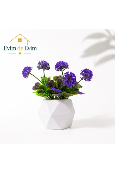 Evim de Evim Mor tomurcuk ve beton saksı