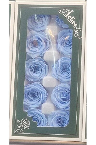 OEM Trandafiri criogenati, 10 bucati/cutie, diametru 5 cm Bleo