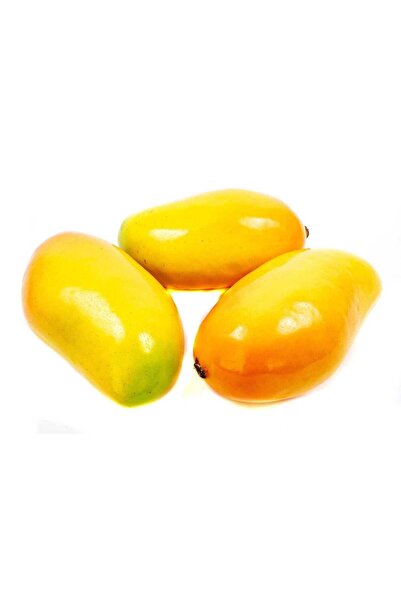 OEM Fructe Artificiale Kaki Plastic (Set 3 buc)