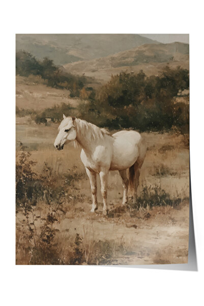 Zestia Poster de perete vintage, Poster Cal alb în zona montană nr: 20203