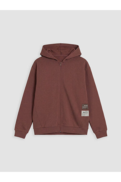 LC Waikiki Brown Hooded boy's zippered sweatshirt