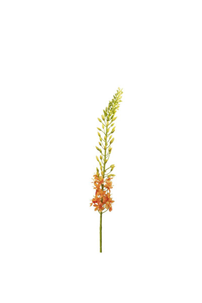 Midas Furniture ARTIFICIAL FLOWER 107CM POLYESTER ORANGE
