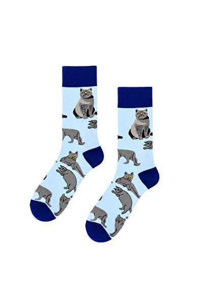 CARNAVAL SOCKS British Cat Patterned Blue Socks