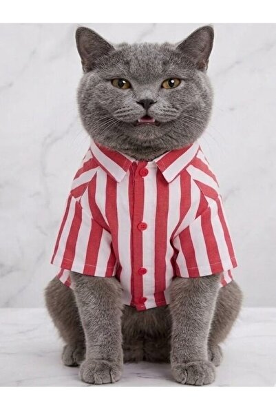 Peti Tailor Kedi Kıyafeti Kırmızı-Beyaz Çizgili Klasik Şık Kedi Gömleği