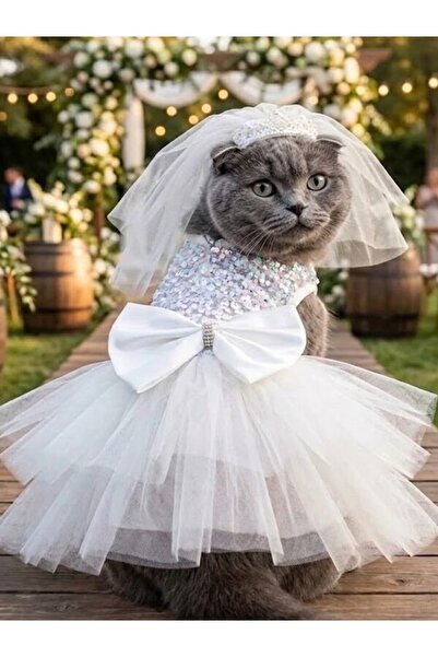 Peti Tailor Kedi Gelinliği Kat Kat Tüllü Pullu Payet İşlemeli Lüks Kedi Kıyafeti