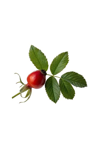 Herbstore.gr Κεραλοιφή Άγριου Τριαντάφυλλου & Κολλαγόνο