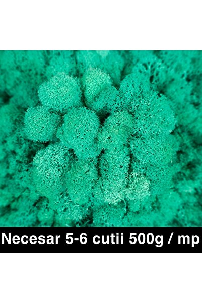 Roberto Rossi Licheni curatati si fara radacina conservati 500g NET, calitate...