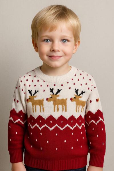aykidsclup Children's Deer Patterned Knit Sweater – Red 24002-Y