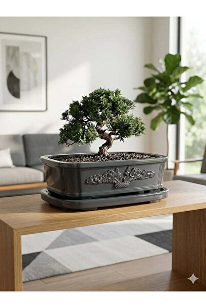 VaseAtelier Bonsai El Yapımı Zemin Büyük Bitki Dekoratif Beton Saksı 9 Lt Koy...