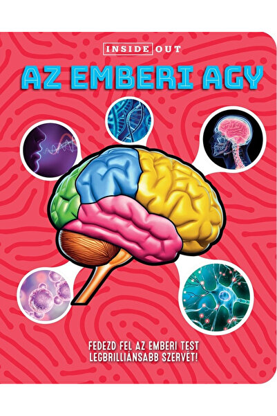 Editura Kreativ Creierul Uman -3D, - Editura Kreativ